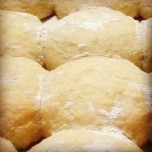 Dusty Buns signature 