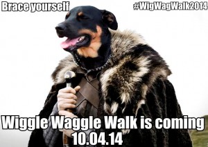 Wiggle Waggle Walk Save the Date