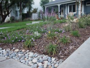 Larger flowerbeds with drought-tolerant plantings.