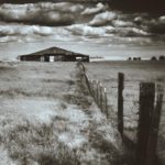 black and white barn
