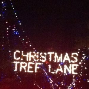 xmas tree lane 4