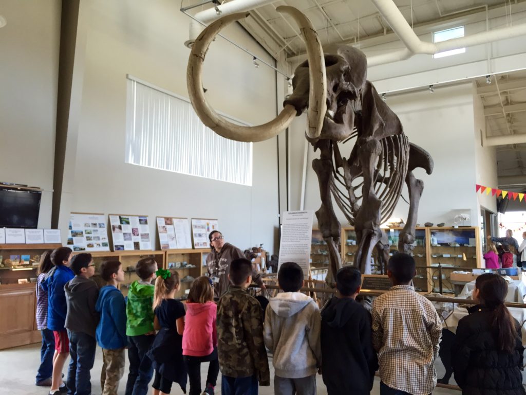 Fossil Discovery Center