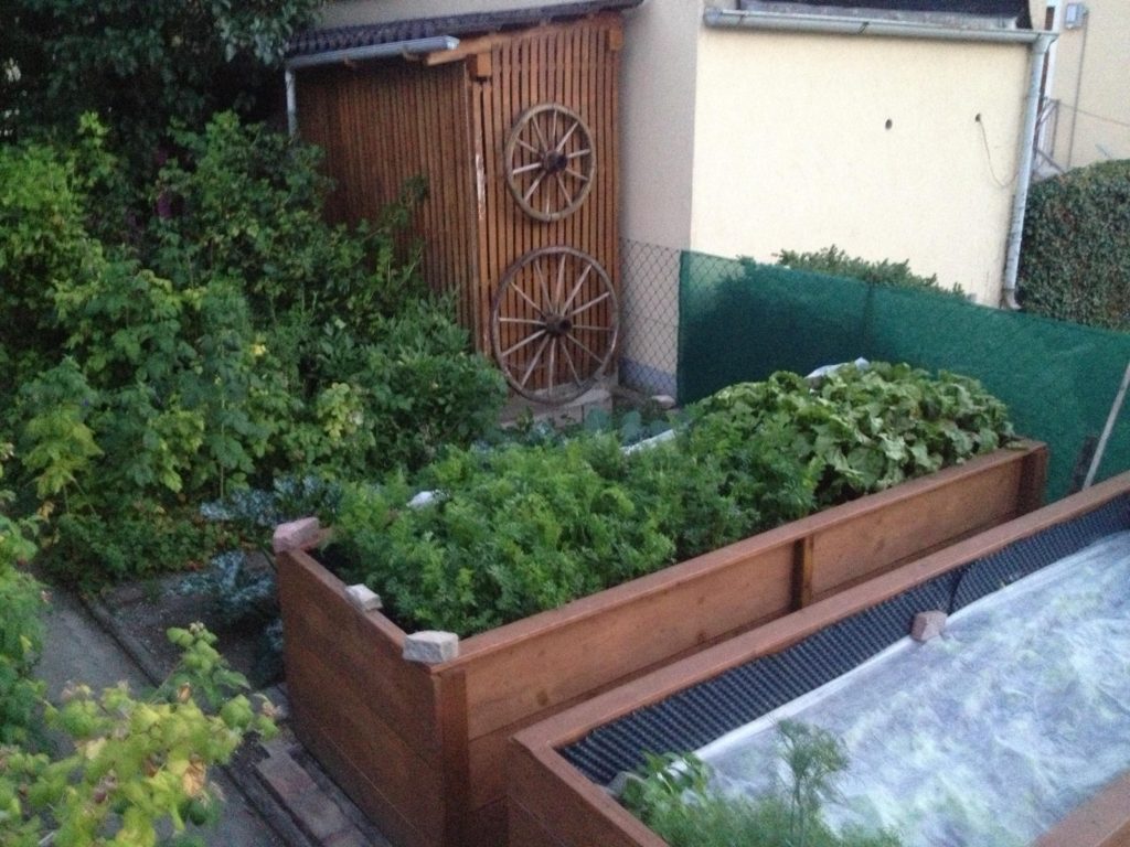 Raised beds is an excellent way to grow summer crops! You have more control over soil and irrigation this way.