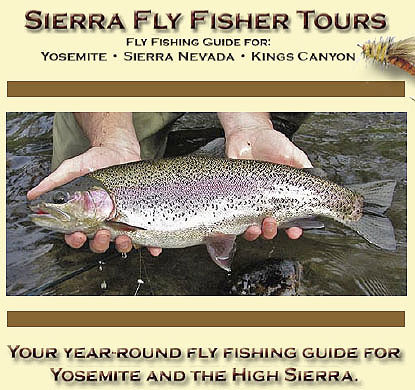 Sierra Fly Fisher Tours