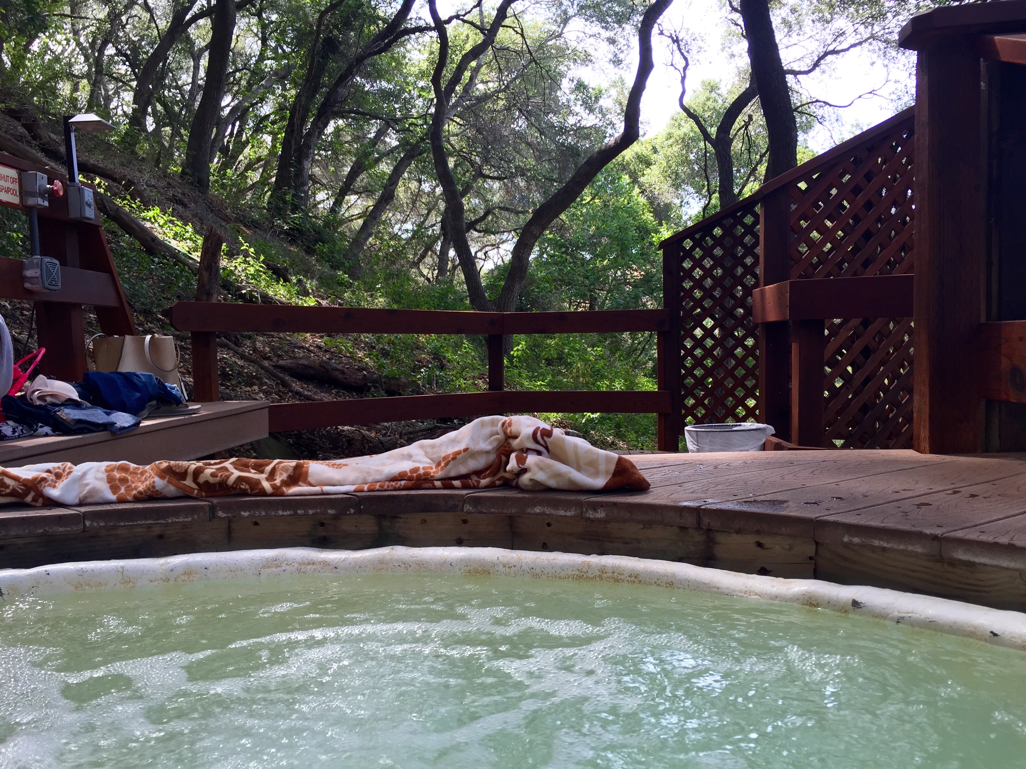 My view from "Xanadu" hot spring tub