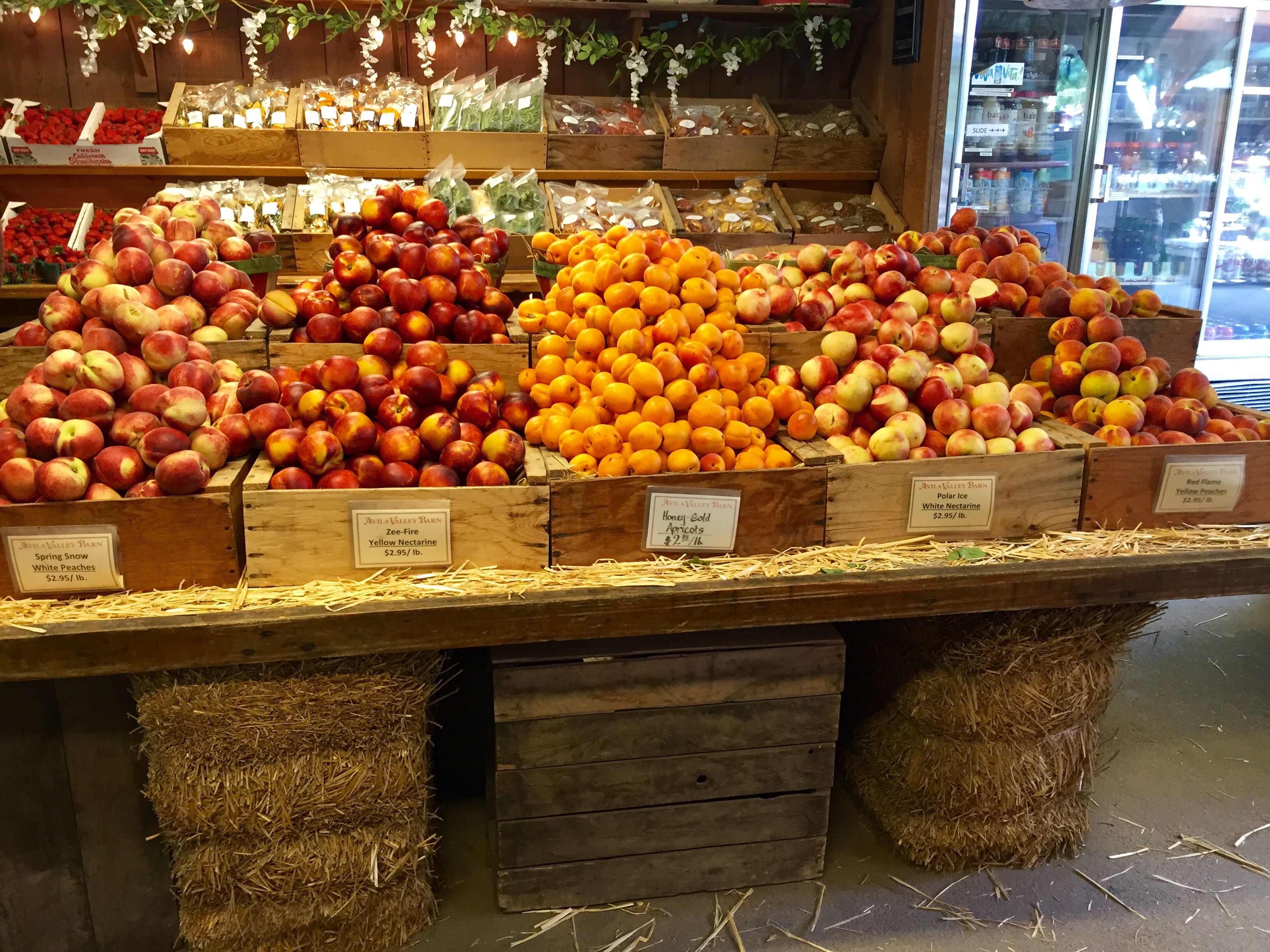 Fresh produce sold at the Avila Valley Barn