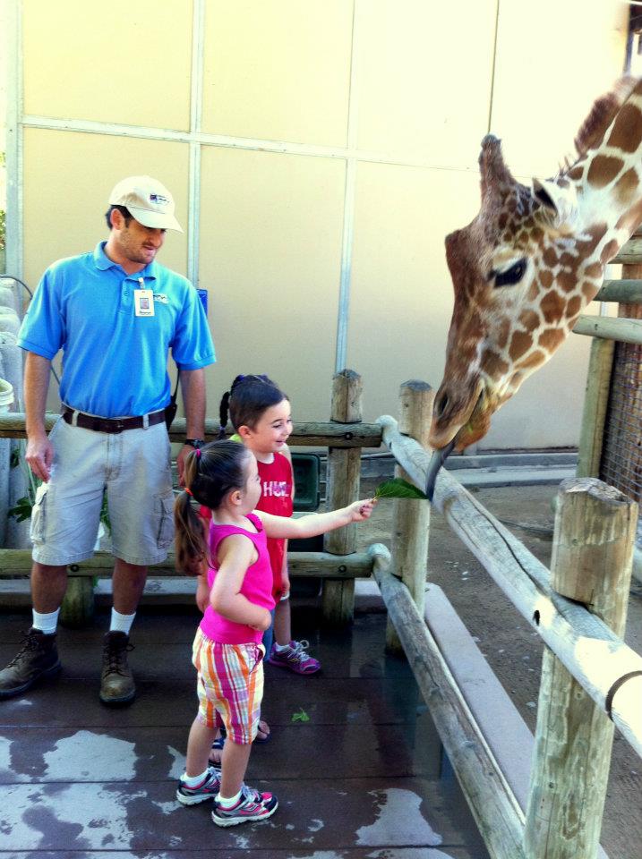 Kids love animal interaction.