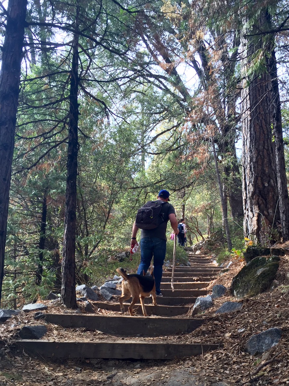 Lewis Creek Trail is both dog-friendly and well-maintained.