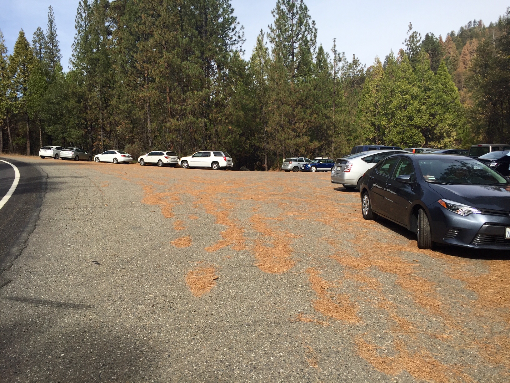 The parking area at Lewis Creek Trailhead