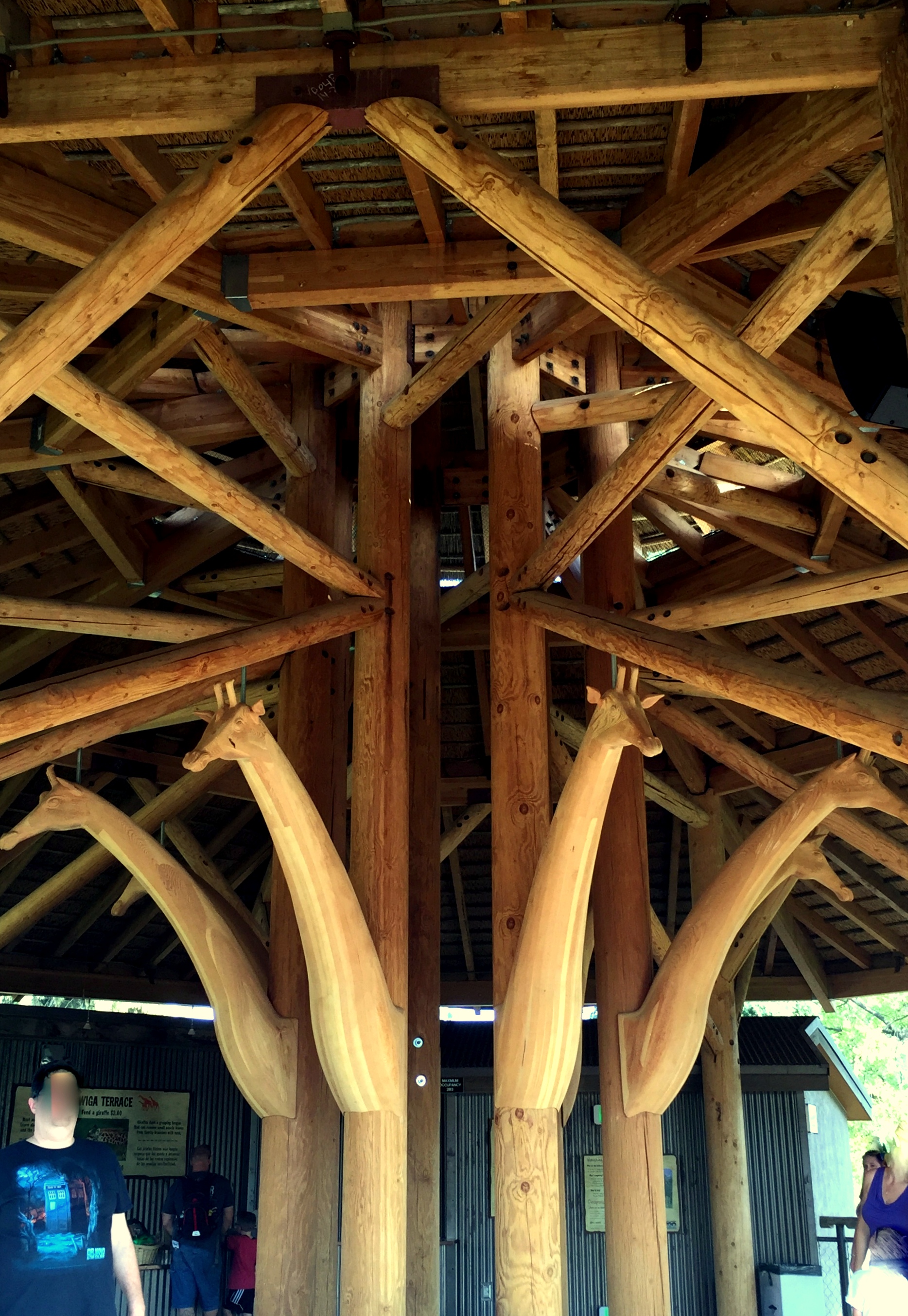 Beautiful beams and carved giraffes decorate the giraffe feeding and viewing area