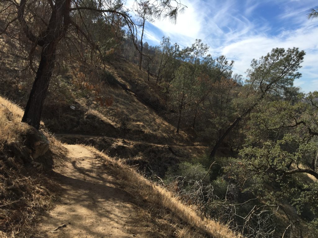 The Pincushion Peak Trail