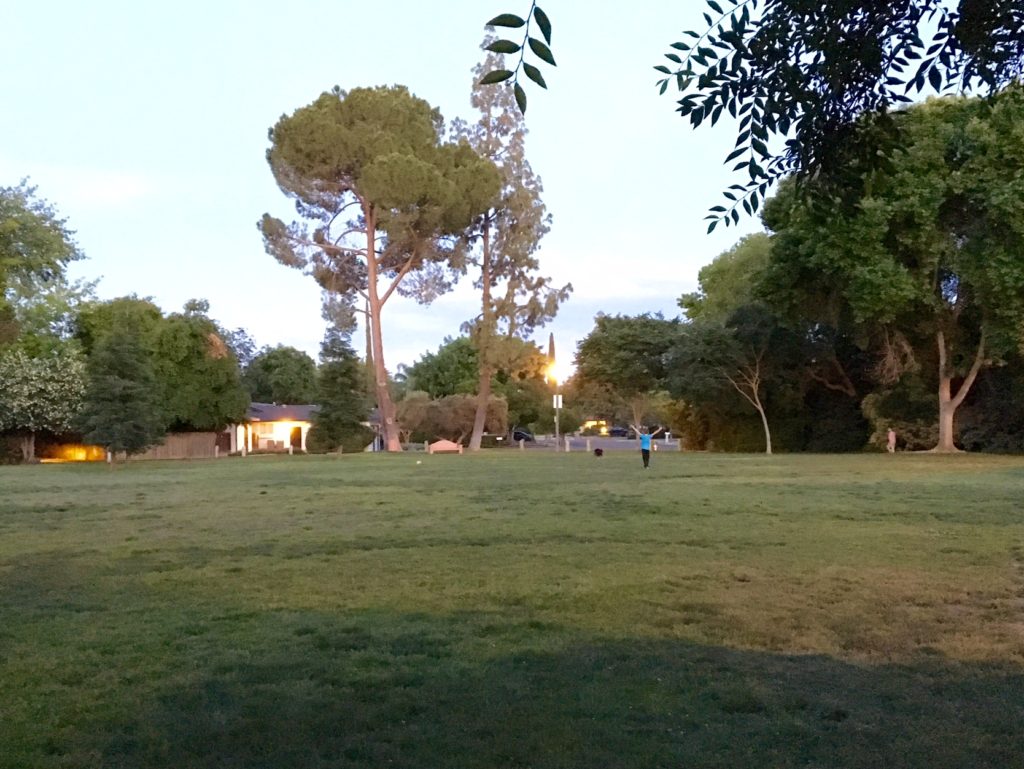 The field at Tenaya Park
