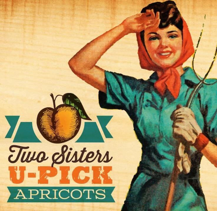 Two Sisters U-Pick Apricots