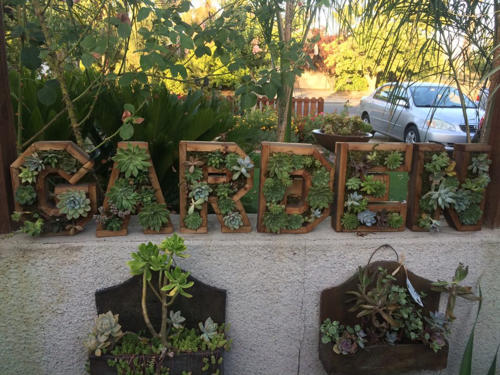 Garden letter succulent planter