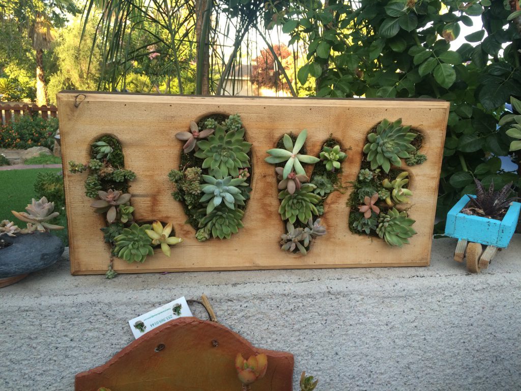 succulent driftwood with the letters LOVE
