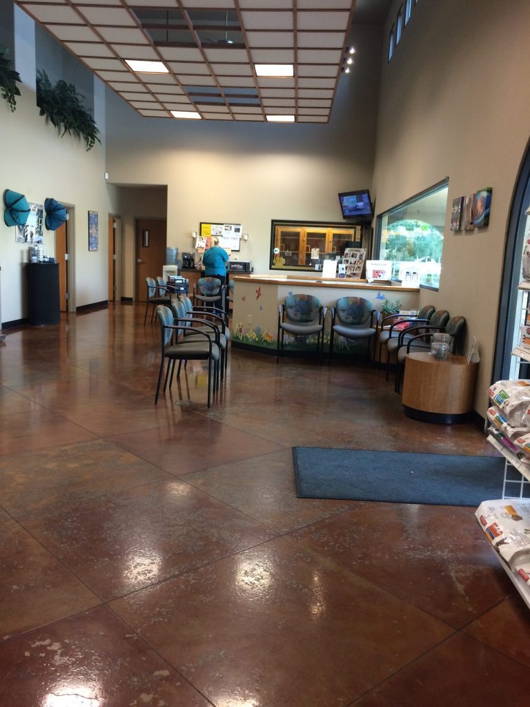 Pet Medical Center and Spa Lobby