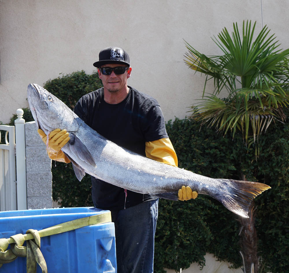 Pismo's Costal Grill fish delivery.