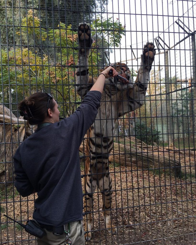 Behind the Scenes at Fresno Chaffee Zoo