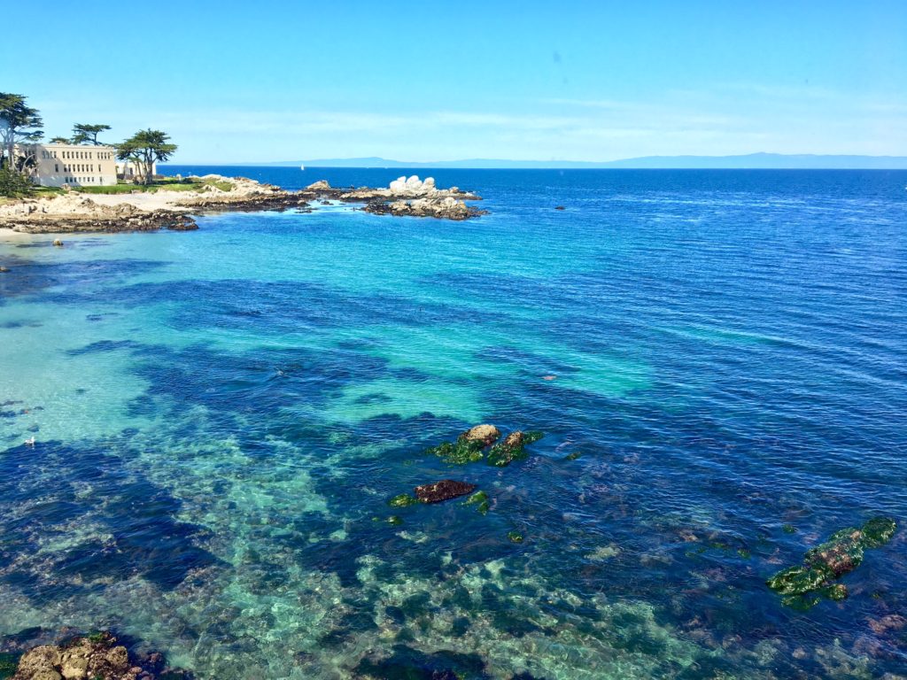 Daytrip to the Monterey Bay Aquarium