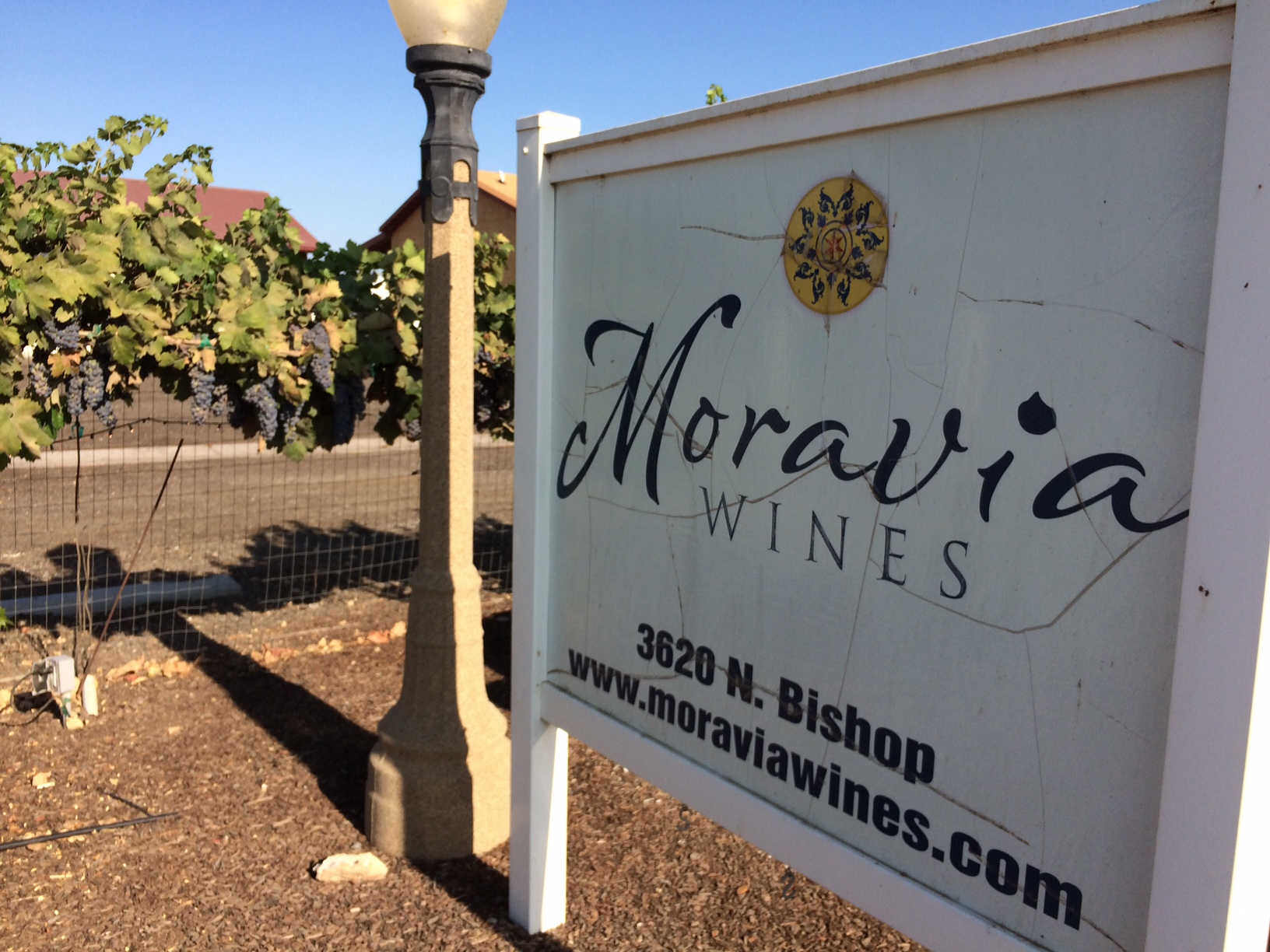 Moravia Winery