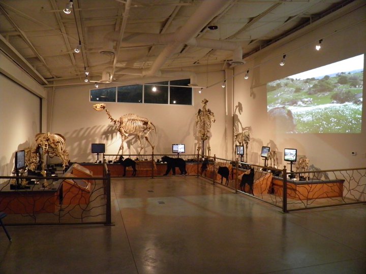 6 local museums