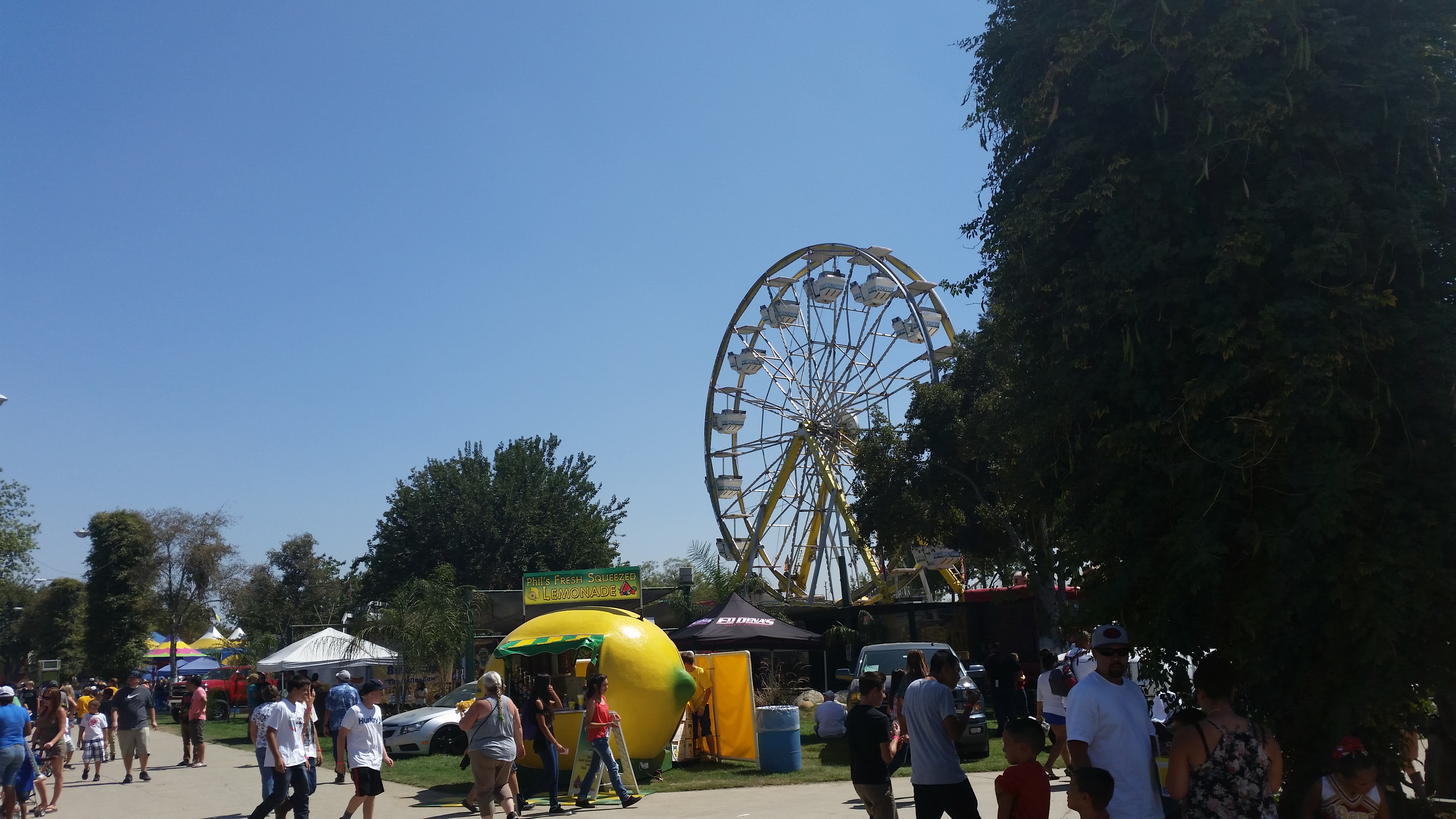 Tulare County Fair brings oldtime charm to the Valley FresYes!