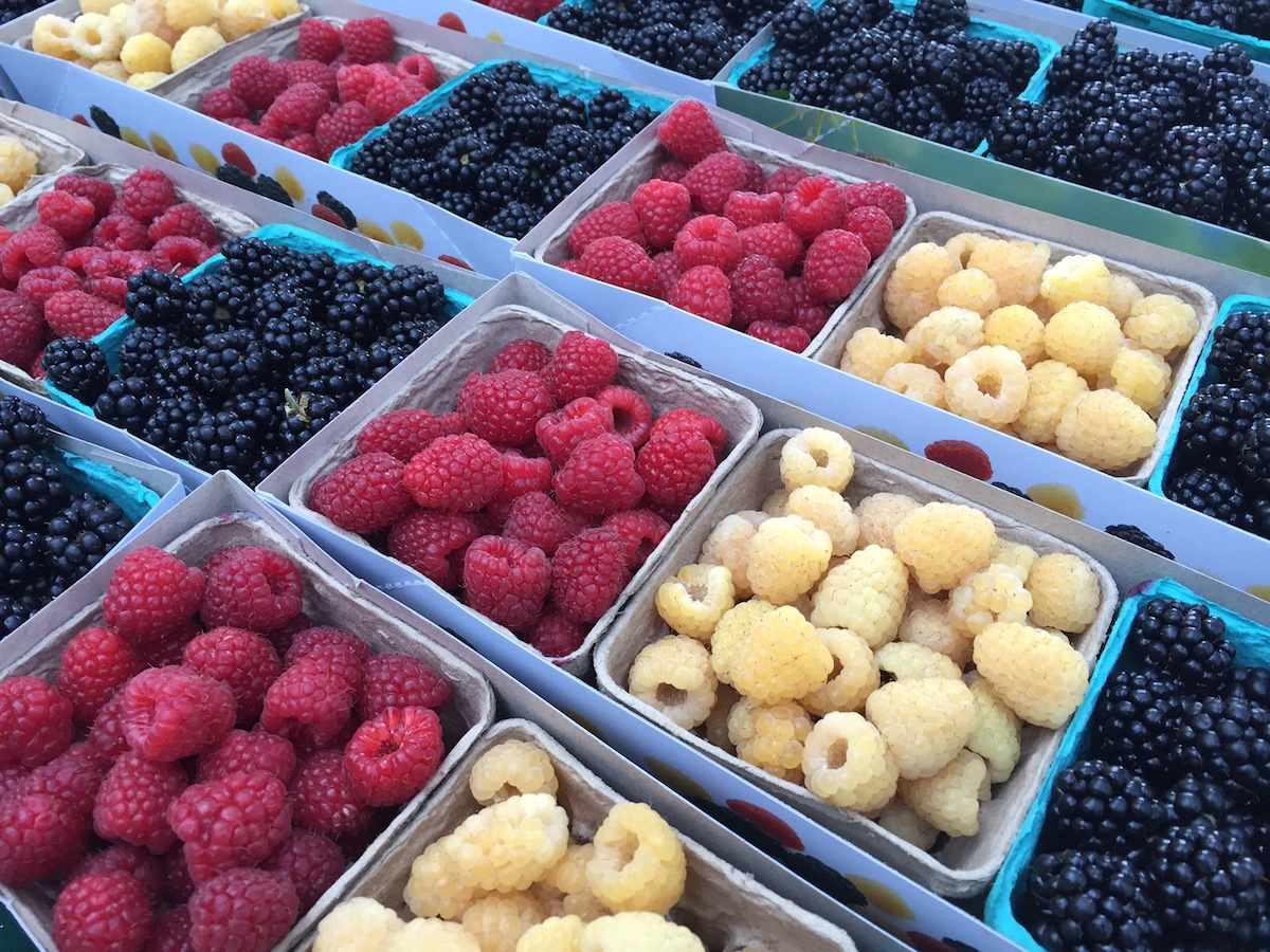 Fresh Berries for sale at a Farmers Market