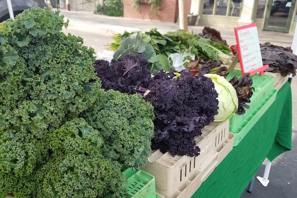 Fresh Produce for sale at a Fresno Farmers Market