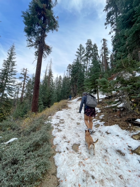 Hiking up snow covered trails at Rancheria Falls