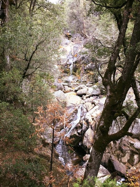 The Lewis Creek Trail